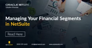 Infographics show the blog-netsuite-financial-segments