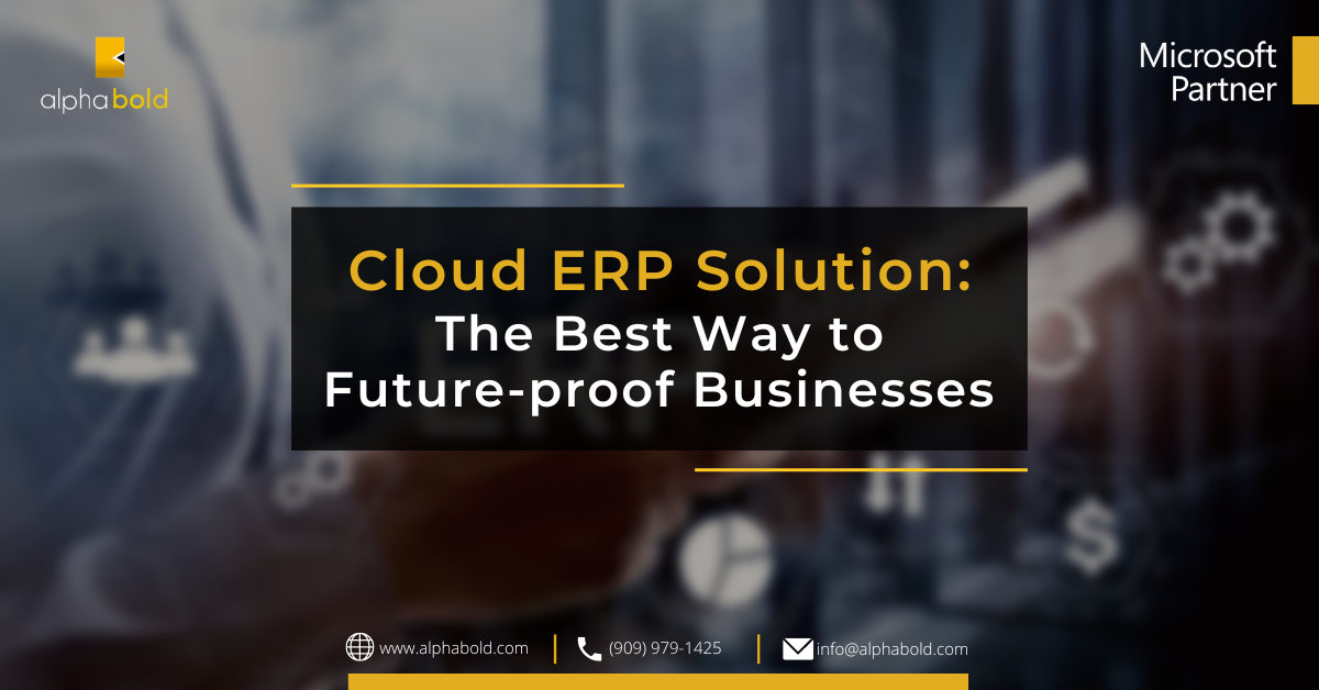 Infographics show the Cloud ERP Solution