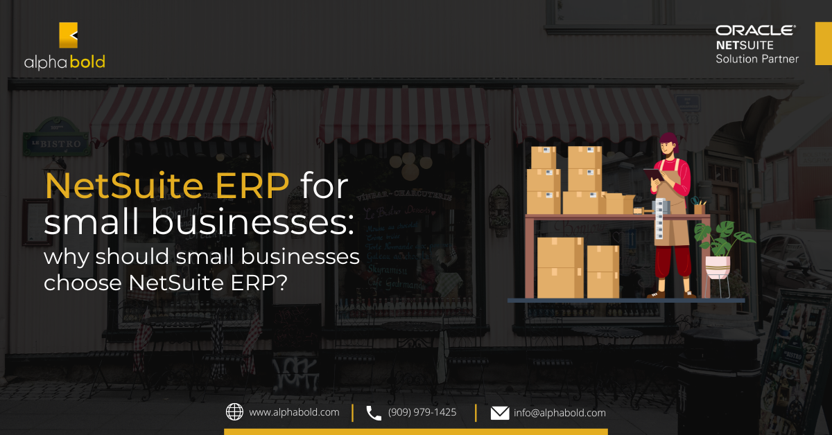 NetSuite ERP For Small Businesses: Why Should Small Businesses Choose ...