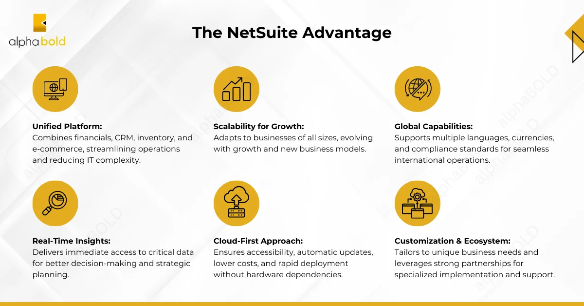 This image shows The NetSuite Advantage