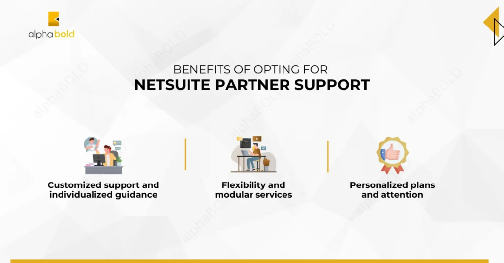 Infographic show the Benefits of opting for NetSuite Partner Support