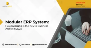 This image shows Modular ERP System